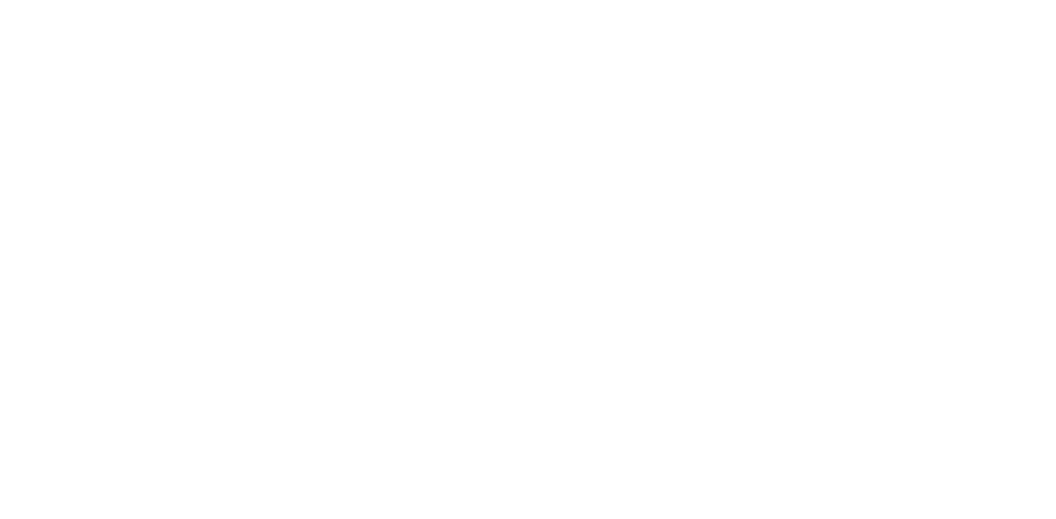 Bidz Auction House